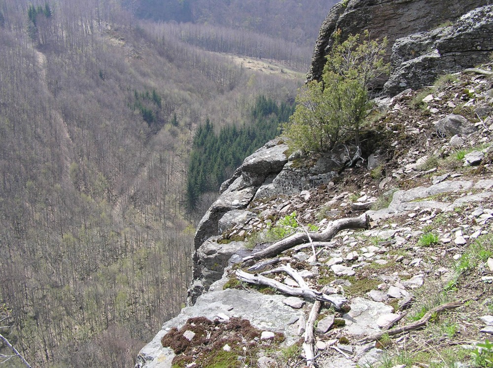ap4240167.jpg