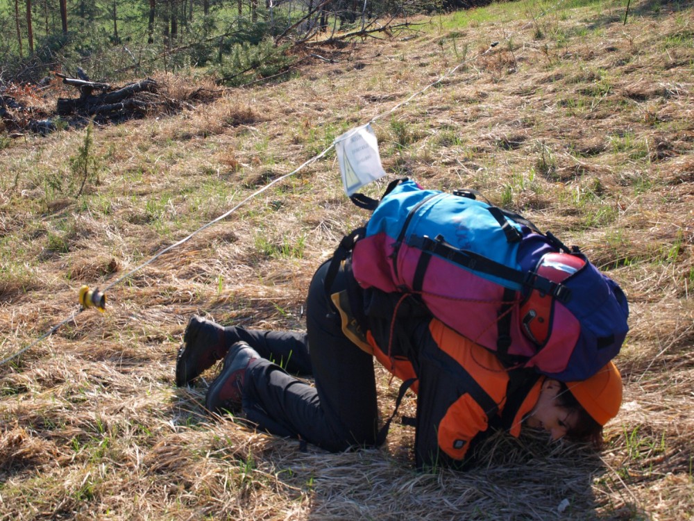 p4171394.jpg