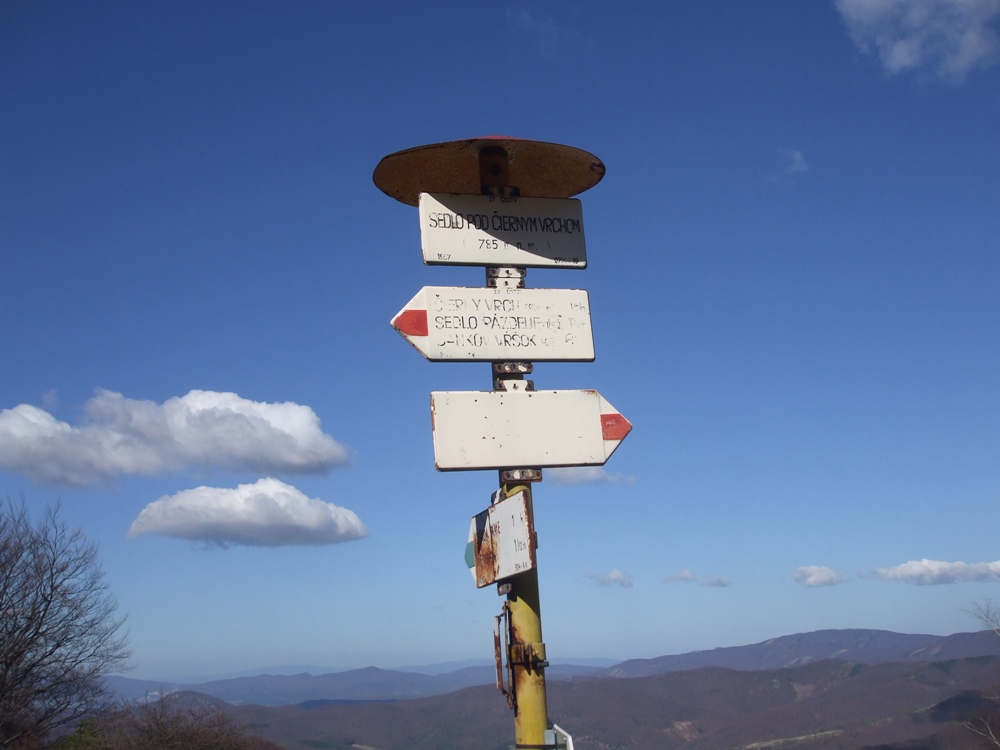 DSCF1561.jpg