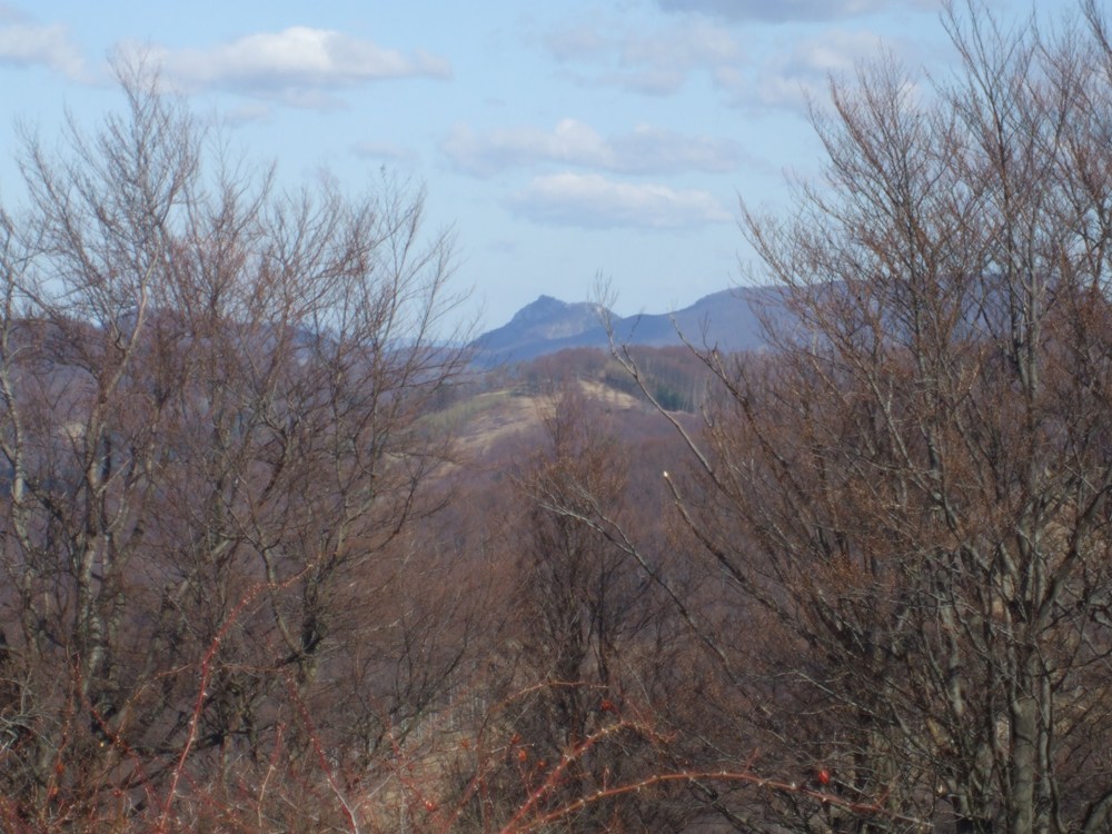 DSCF1564.jpg