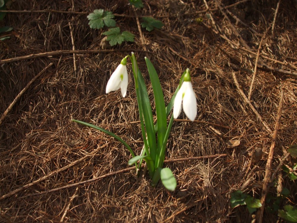DSCF1567.jpg