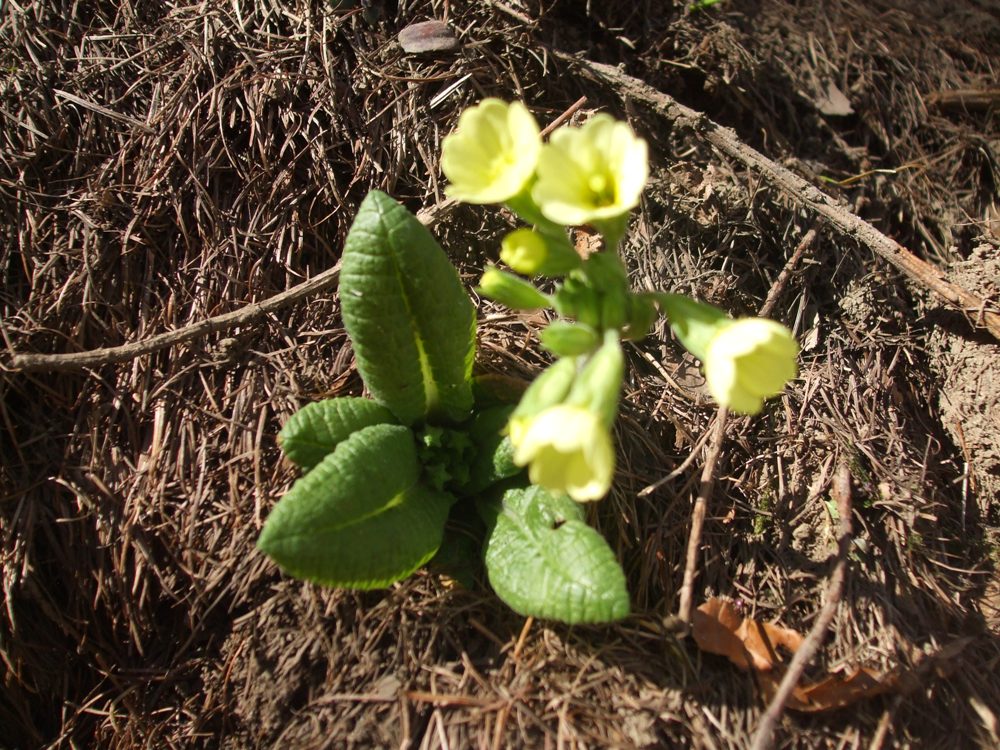DSCF1569.jpg