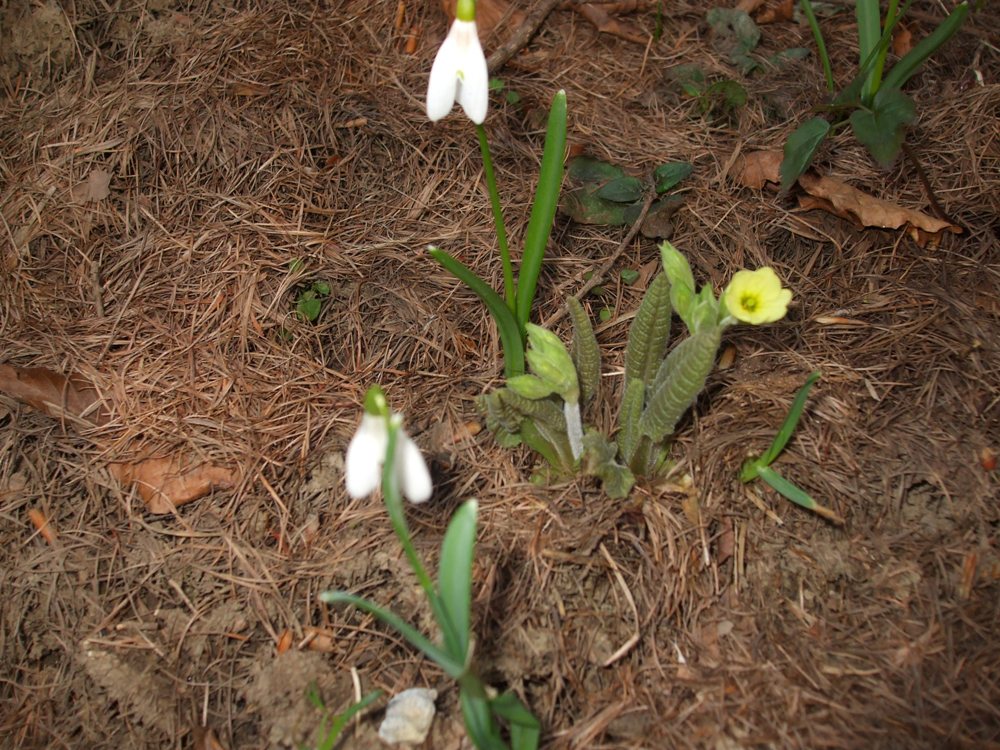 DSCF1571.jpg