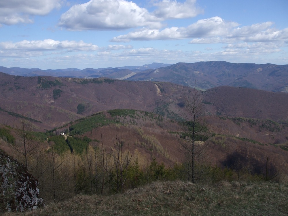 DSCF1586.jpg