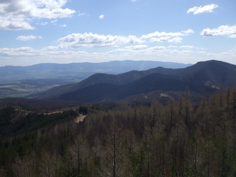 DSCF1596.jpg