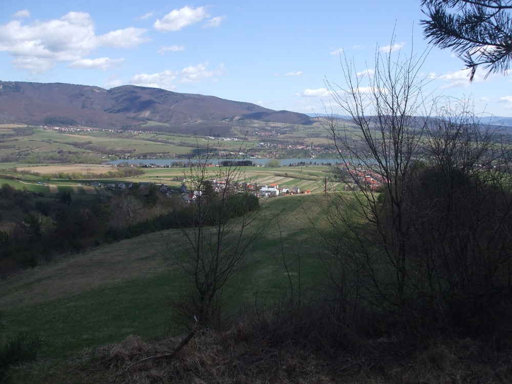 DSCF1609.jpg