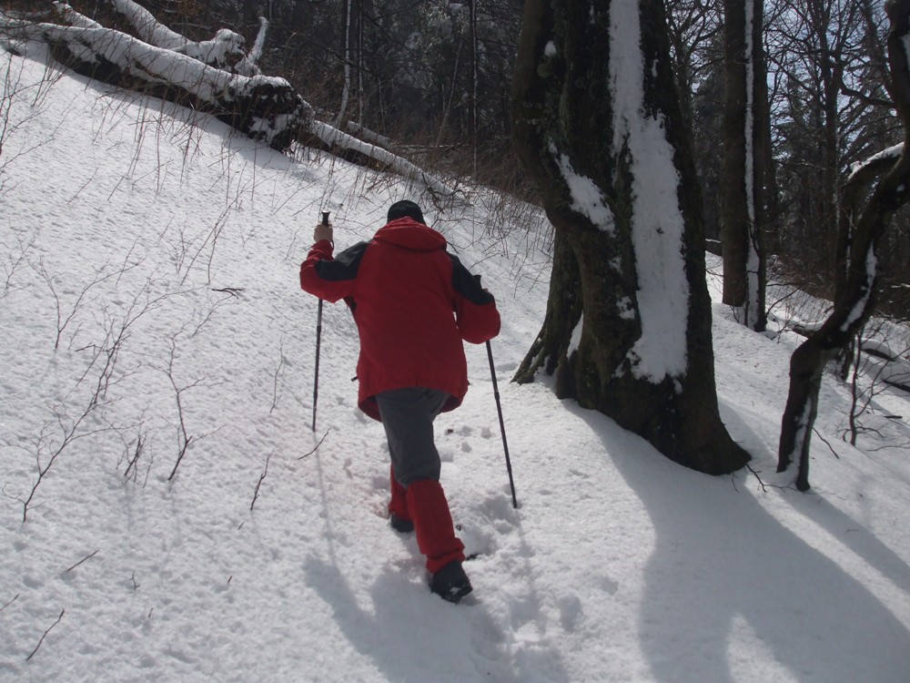 DSCF1634.jpg