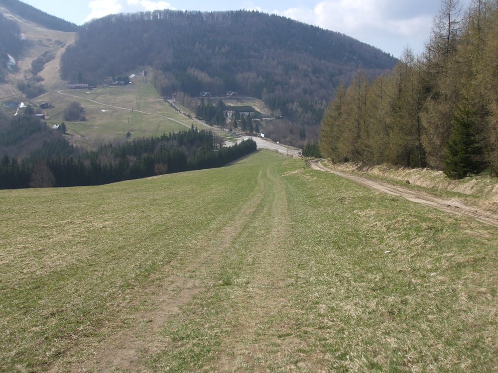 DSCF1687.jpg