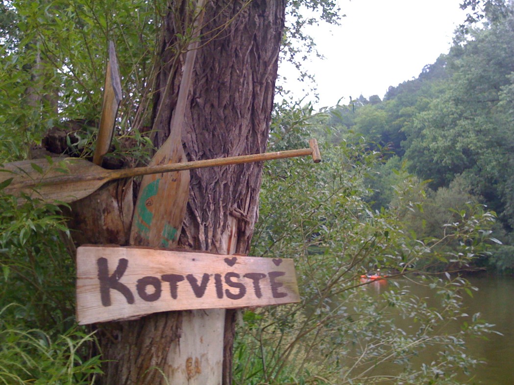 16.-kotviste