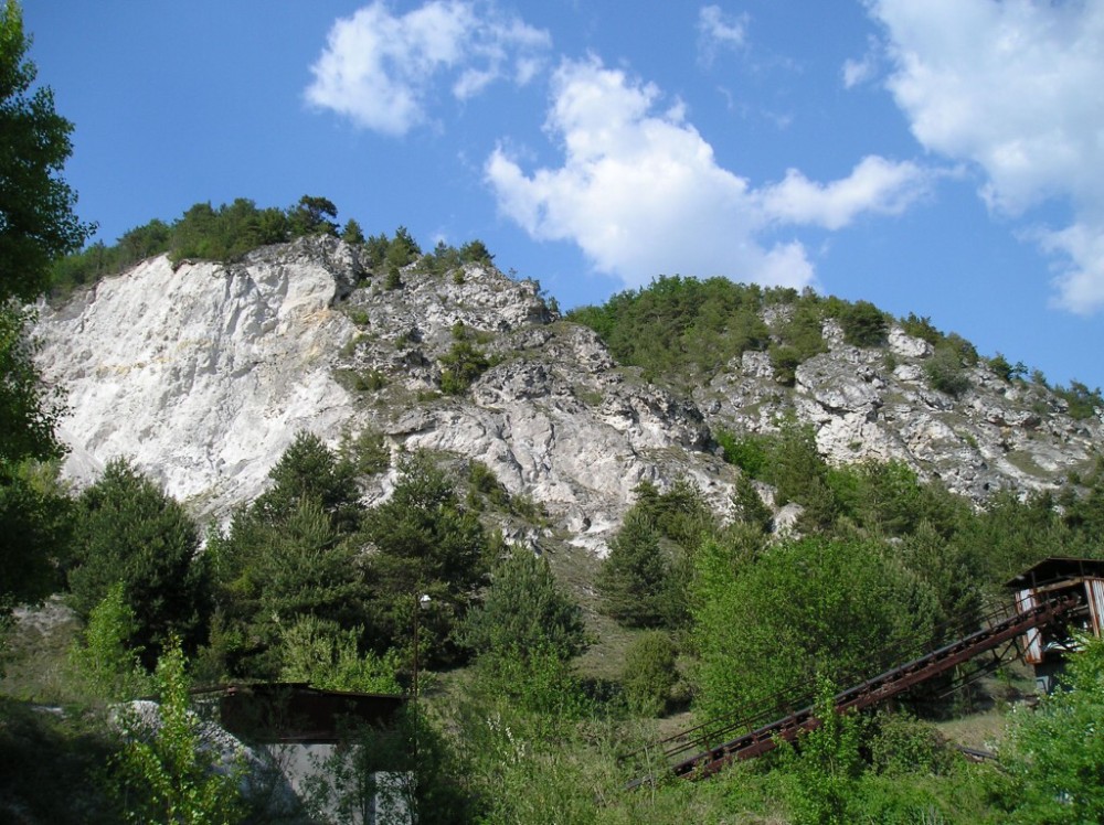 p1010066