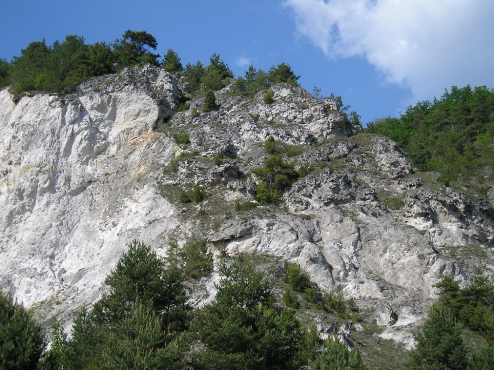 p1010067