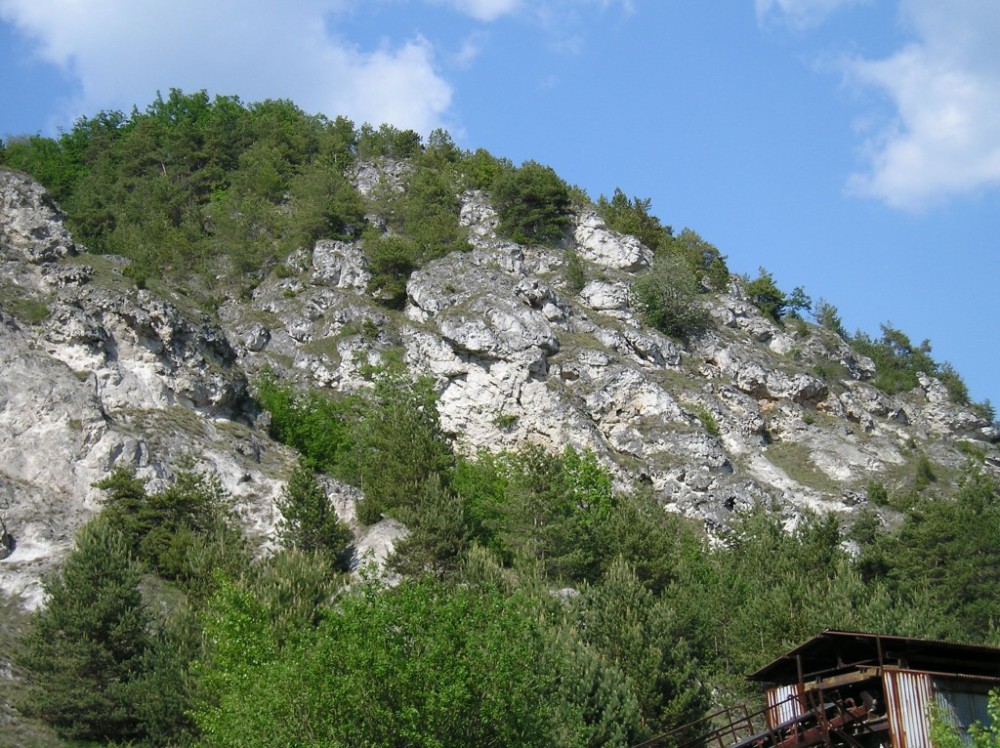 p1010068