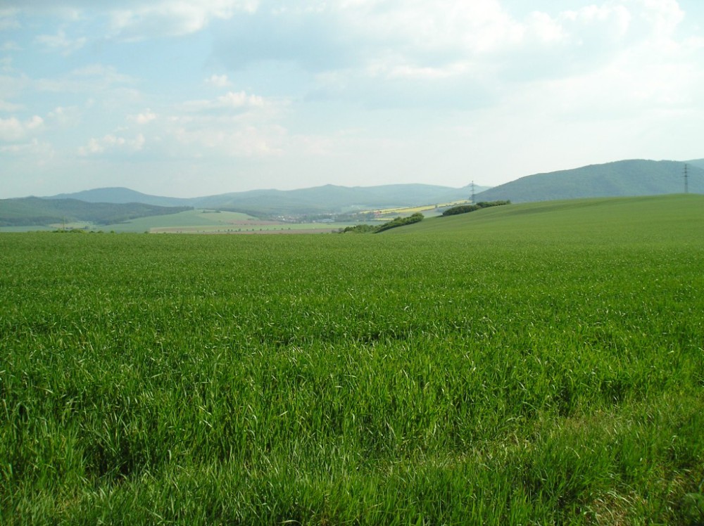 p1010074