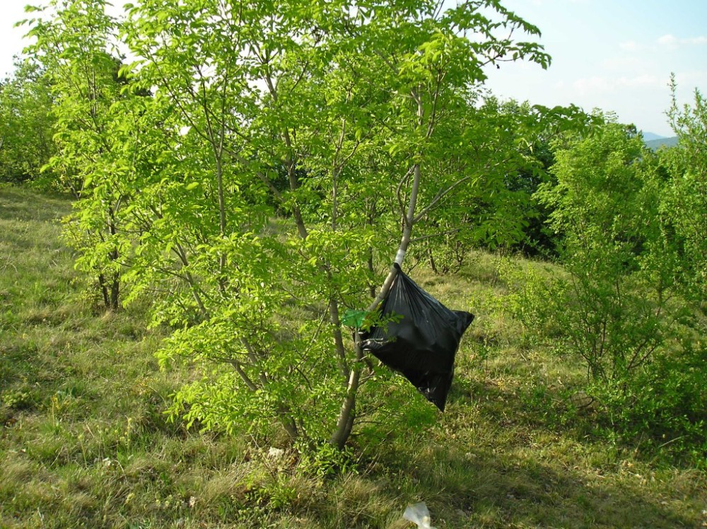 p1010080
