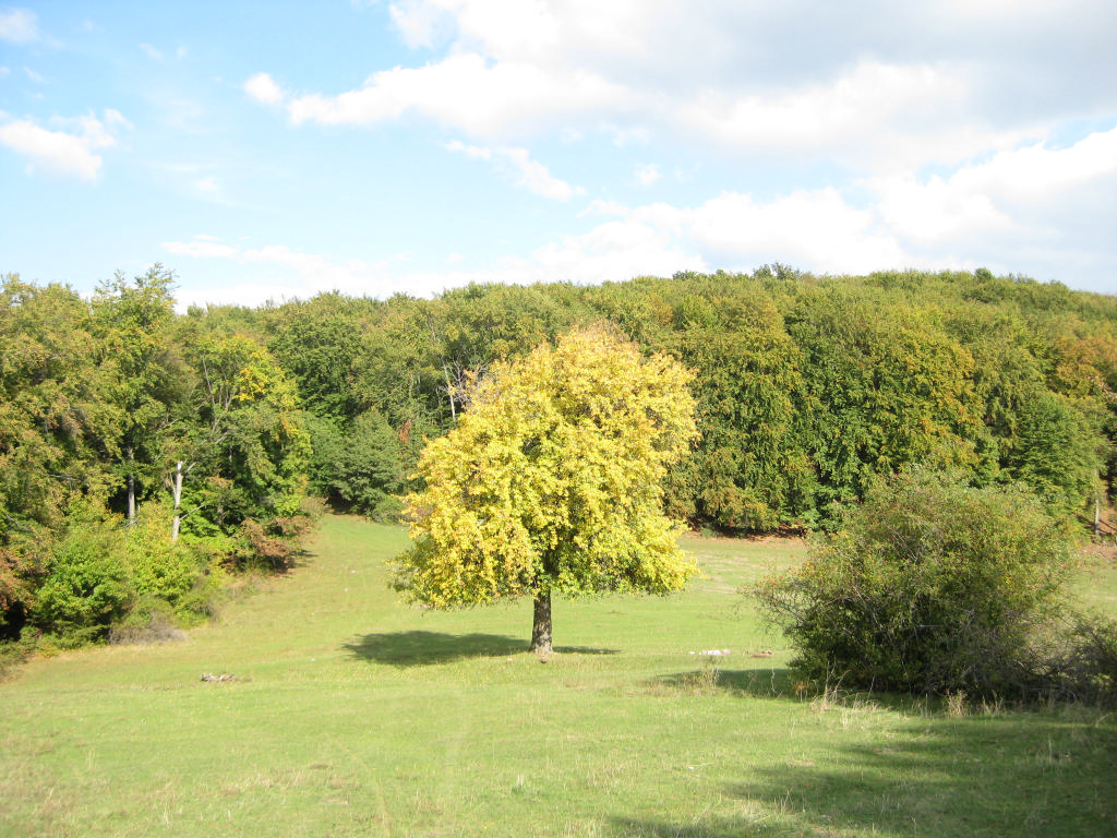 2013_09_29_Uhrovecký hrad 088