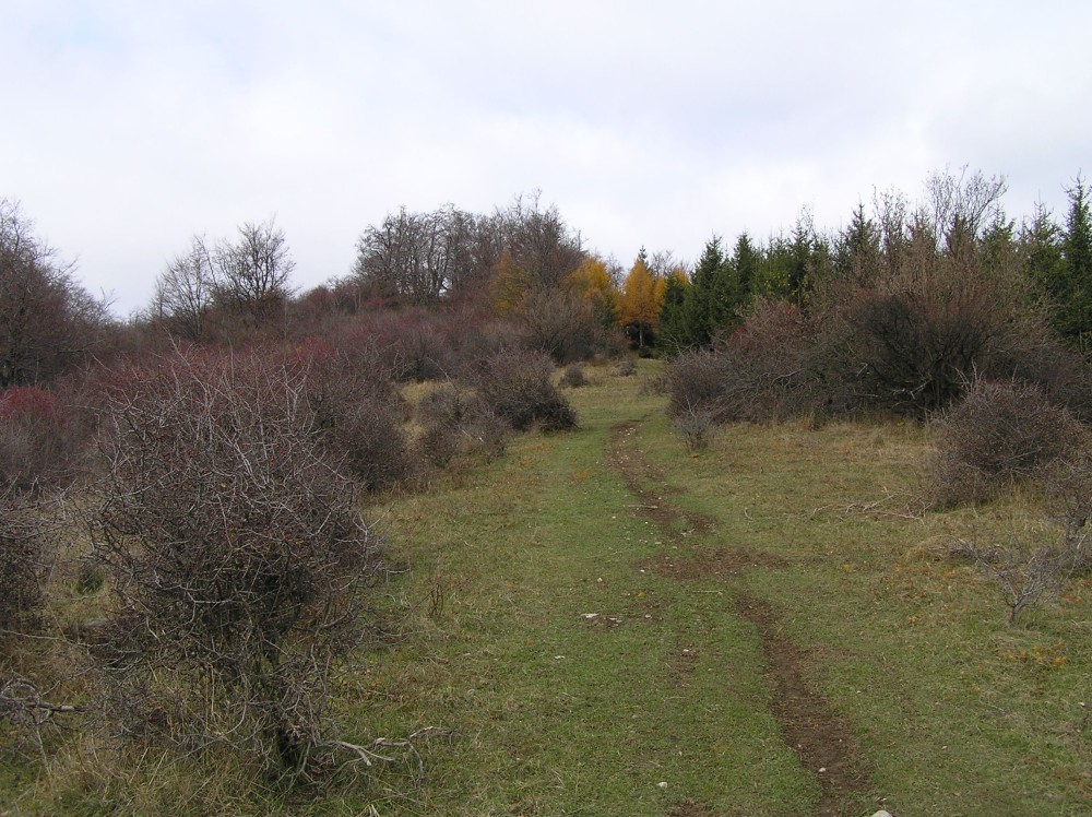 PB030086
