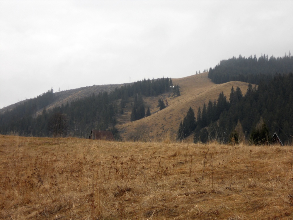 DSCN3208