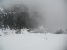 DSCN3157