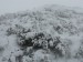 DSCN3165